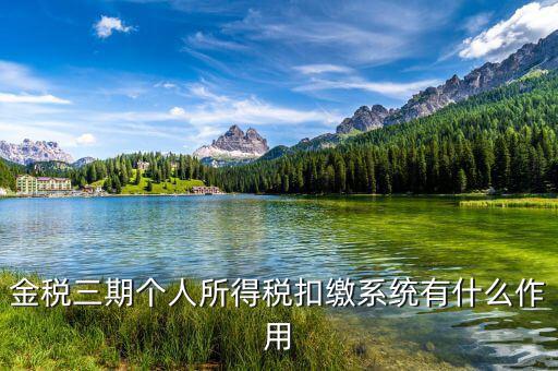 金稅三期個人所得稅扣繳系統有什么作用
