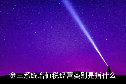 金三系統增值稅經營類別是指什么