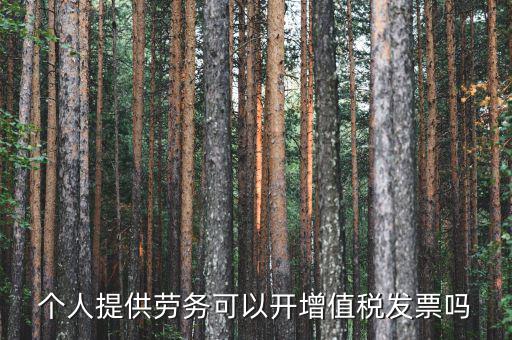 什么是個人勞務發票嗎，個人開工程勞務費發票是在工程所在地開具嗎