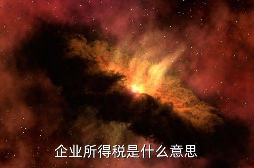 企業所得稅是什么意思