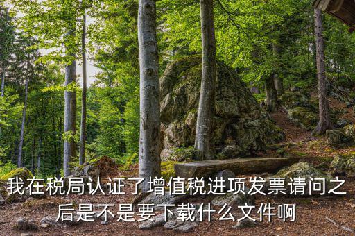 我在稅局認證了增值稅進項發票請問之后是不是要下載什么文件啊