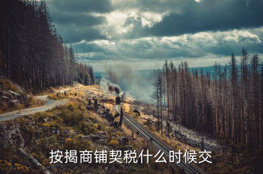 商鋪?zhàn)赓U稅什么時(shí)候交，租賃店鋪一般首次需要繳納幾個(gè)月的租金