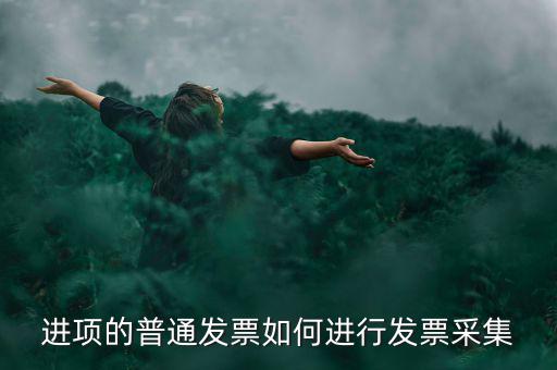 進項的普通發票如何進行發票采集