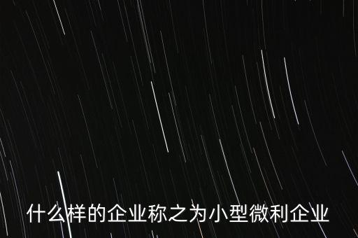 什么樣的企業稱之為小型微利企業