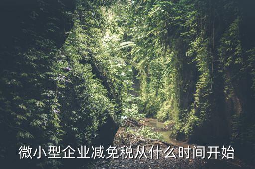 微小型企業減免稅從什么時間開始