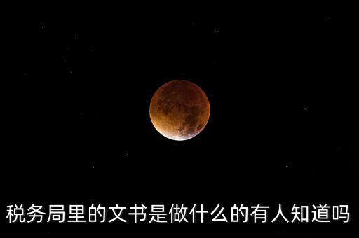 稅務文書是什么，急需稅務文書格式