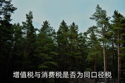 稅收可比口徑什么意思，稅收比重什么意思