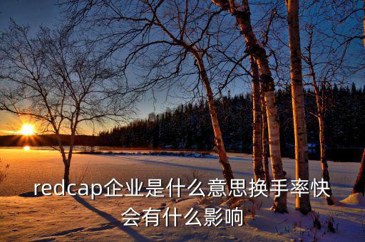 大企業局是什么意思，廣東省地稅網上的財務報表中的大企業局數據報送是指什么