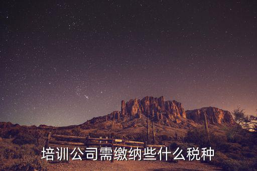 培訓機構依據什么納稅，培訓單位按什么標準納稅