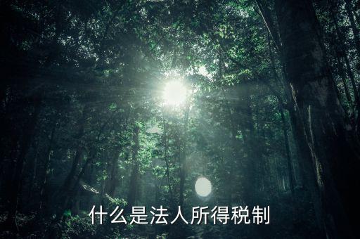 什么是法人企業所得稅，百度如何理解企業所得稅應該稱之為法人所得稅