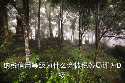 稅務(wù)評(píng)級(jí)有什么用，納稅信用等級(jí)為什么會(huì)被稅務(wù)局評(píng)為D級(jí)