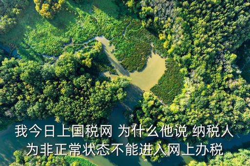 我今日上國稅網 為什么他說 納稅人為非正常狀態不能進入網上辦稅