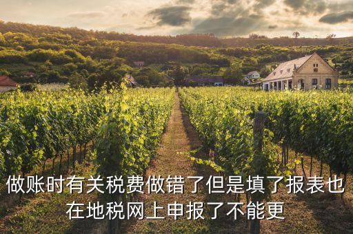做賬時有關稅費做錯了但是填了報表也在地稅網(wǎng)上申報了不能更