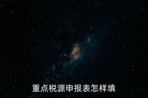 重點稅源申報表怎樣填