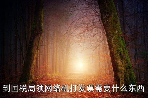到國稅局領網絡機打發票需要什么東西