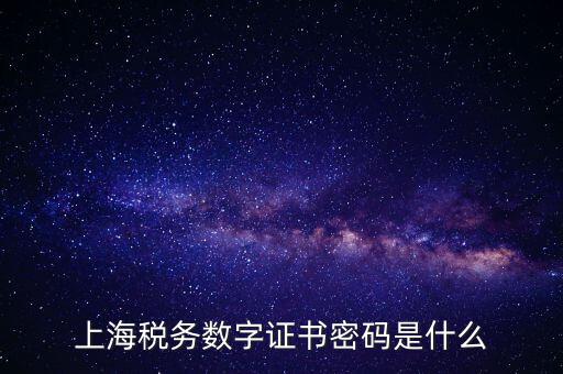 上海稅務數字證書密碼是什么