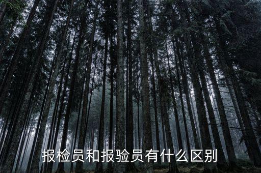 報驗企業是什么意思，外埠納稅人經營地報驗登記是什么意思