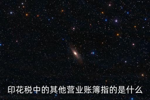 印花稅中的其他營業賬簿指的是什么