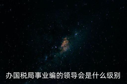辦國稅局事業編的領導會是什么級別