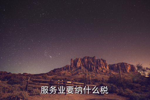 服務業開票都繳什么稅，服務業應繳那些稅