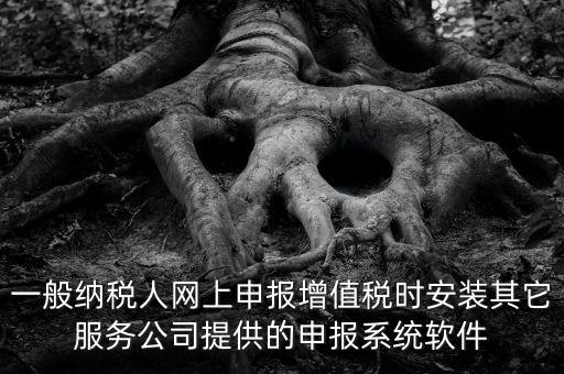 一般納稅人網上申報增值稅時安裝其它服務公司提供的申報系統軟件