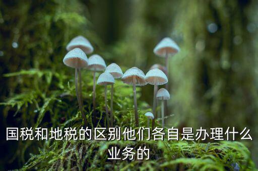 地稅是辦理什么業(yè)務的，企業(yè)在地稅局主要辦理什么業(yè)務呢