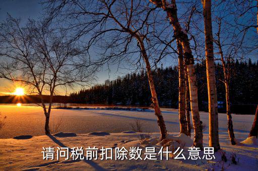 請問稅前扣除數是什么意思