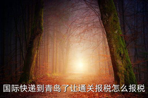 青島物流公司拿什么稅，國際快遞到青島了讓通關(guān)報稅怎么報稅