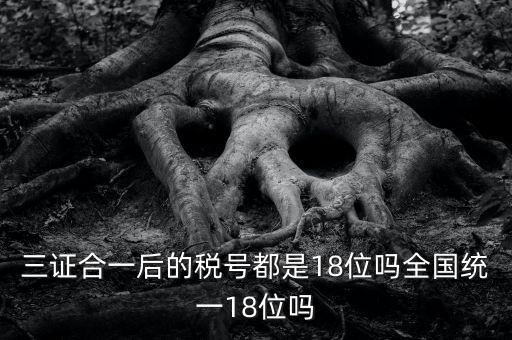 三證合一后的稅號都是18位嗎全國統一18位嗎