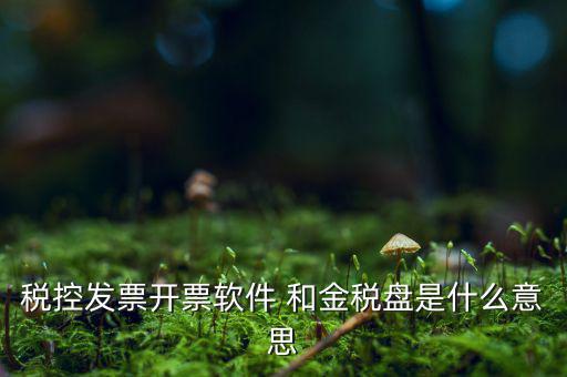 稅控系統指什么，稅控發票開票軟件 和金稅盤是什么意思