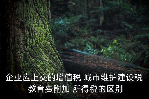 企業應上交的增值稅 城市維護建設稅 教育費附加 所得稅的區別