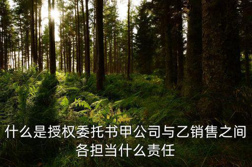 什么是授權委托書甲公司與乙銷售之間各擔當什么責任