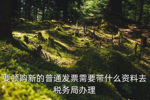 發票領購本需要帶什么，去國稅局報稅需要發票領購簿嗎都需要帶什么大神們幫幫忙