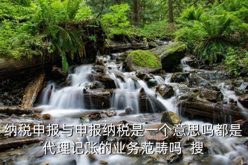 納稅申報與申報納稅是一個意思嗎都是代理記賬的業務范疇嗎  搜