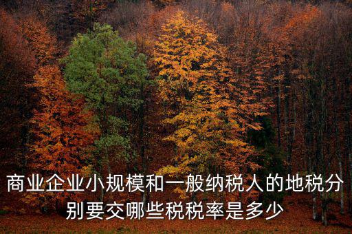 商業企業小規模和一般納稅人的地稅分別要交哪些稅稅率是多少