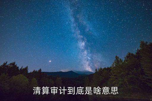 什么是申報(bào)清冊，電子稅務(wù)廳的重新獲取申報(bào)清冊是什么意思