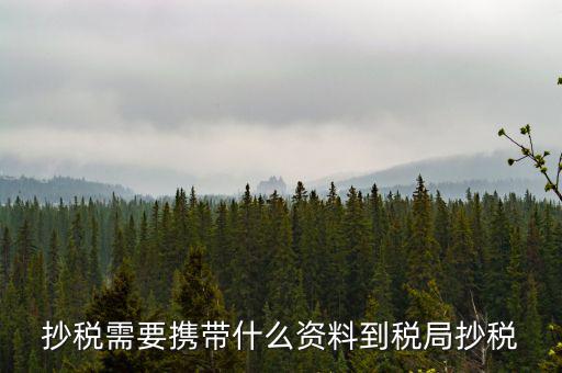 報稅查什么輔導信息，剛申請為一般納稅人在哪查看是否要經過輔導期納稅申報初始化填5