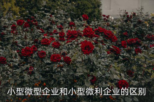 小型微型企業和小型微利企業的區別