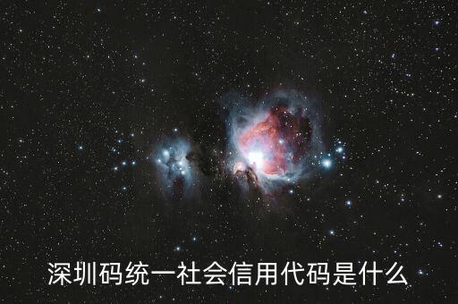 深圳碼統一社會信用代碼是什么