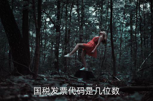 發票代碼是什么位置，國稅普票代碼是幾位數字在什么位置