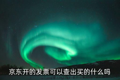 手機發票可以查什么東西，京東開的發票可以查出買的什么嗎