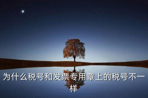 為什么稅號和發票專用章上的稅號不一樣