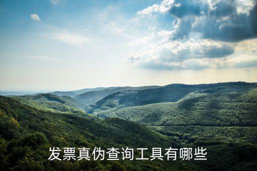 查發票用什么軟件下載，發票真偽查詢工具有哪些
