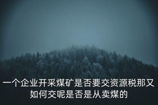 一個企業開采煤礦是否要交資源稅那又如何交呢是否是從賣煤的