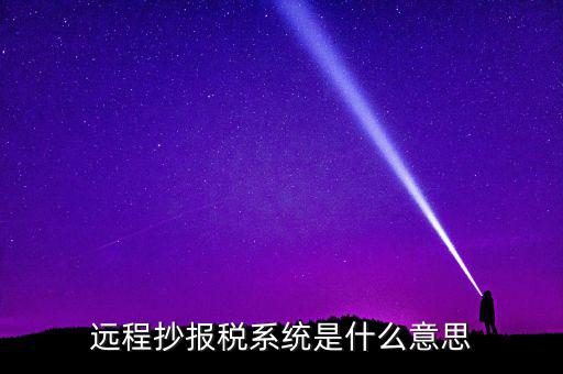 遠程抄報稅系統是什么意思