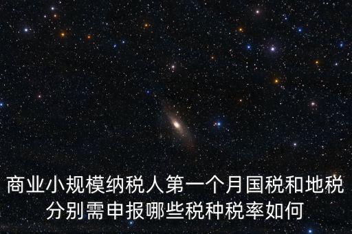 商業小規模納稅人第一個月國稅和地稅分別需申報哪些稅種稅率如何