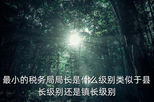 最小的稅務局局長是什么級別類似于縣長級別還是鎮長級別