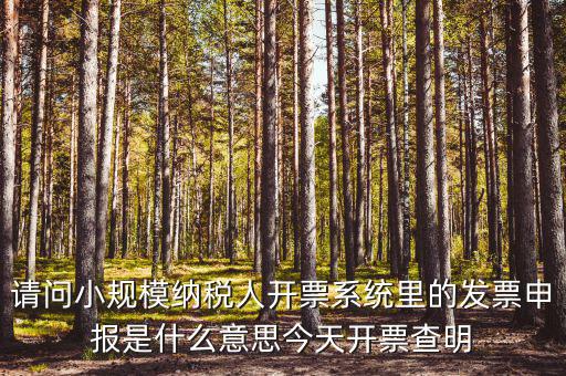 請問小規模納稅人開票系統里的發票申報是什么意思今天開票查明