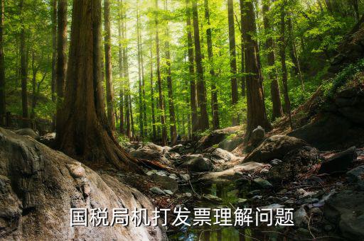 機打票是什么問題，個體工商戶開機打票的問題