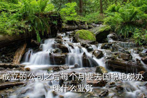 地稅辦什么業務，地稅局營業廳辦甚么業務